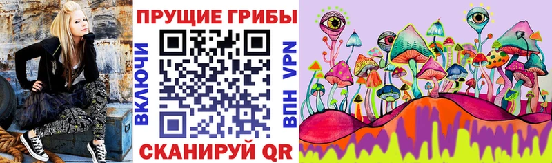 ОМГ ОМГ зеркало Железногорск-Илимский Псилоцибиновые грибы Magic Shrooms